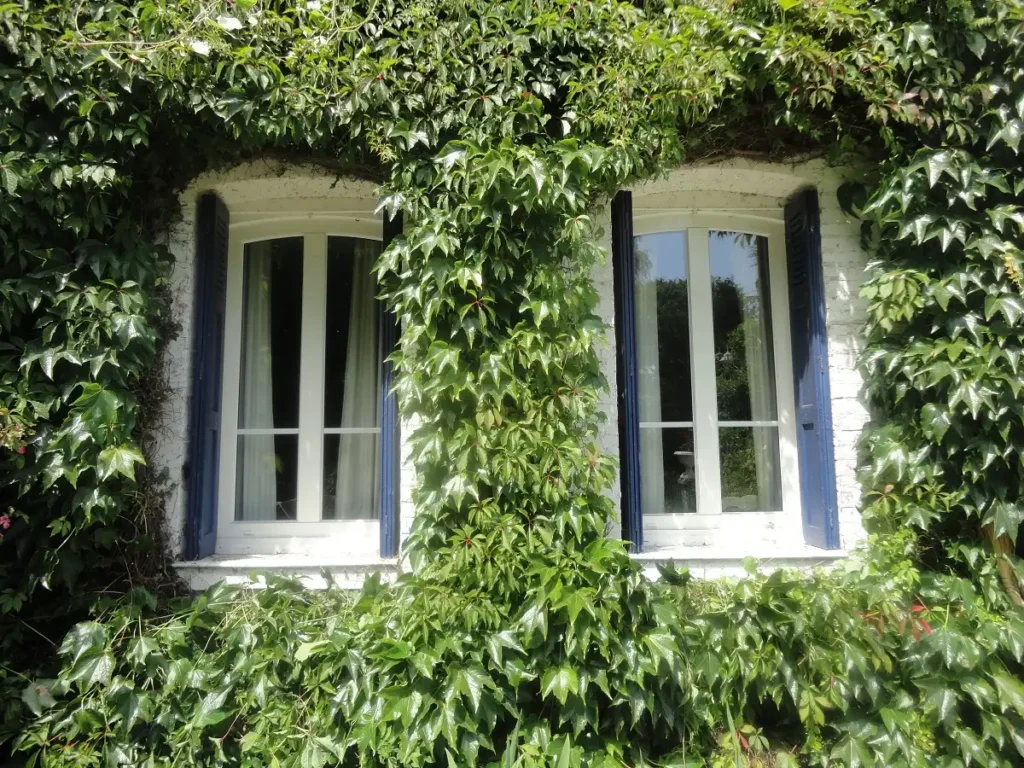Votre expert menuisier extérieur au Havre - Alpha Fermeture